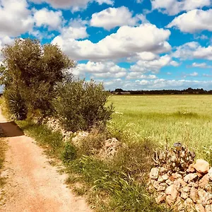 Hébergement de vacances Arthouse Mit Haus Galeria 110qm Und Appartementhaus Mit Patio 30qm